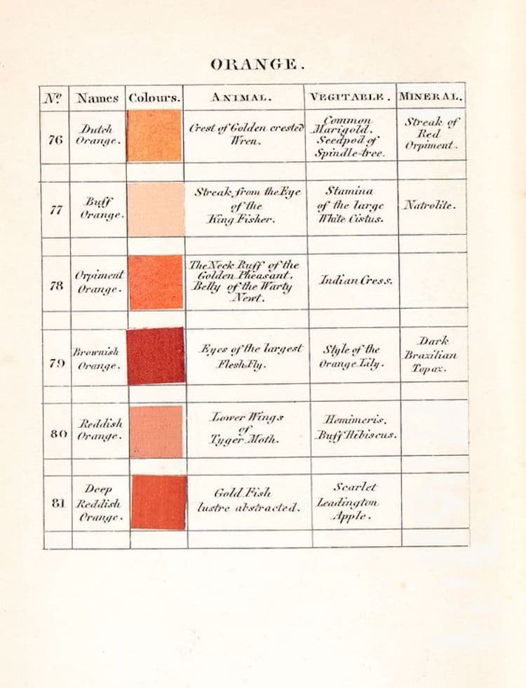 Werner's Nomenclature of Colours Color Guide Color Descriptions Handwritten Book
