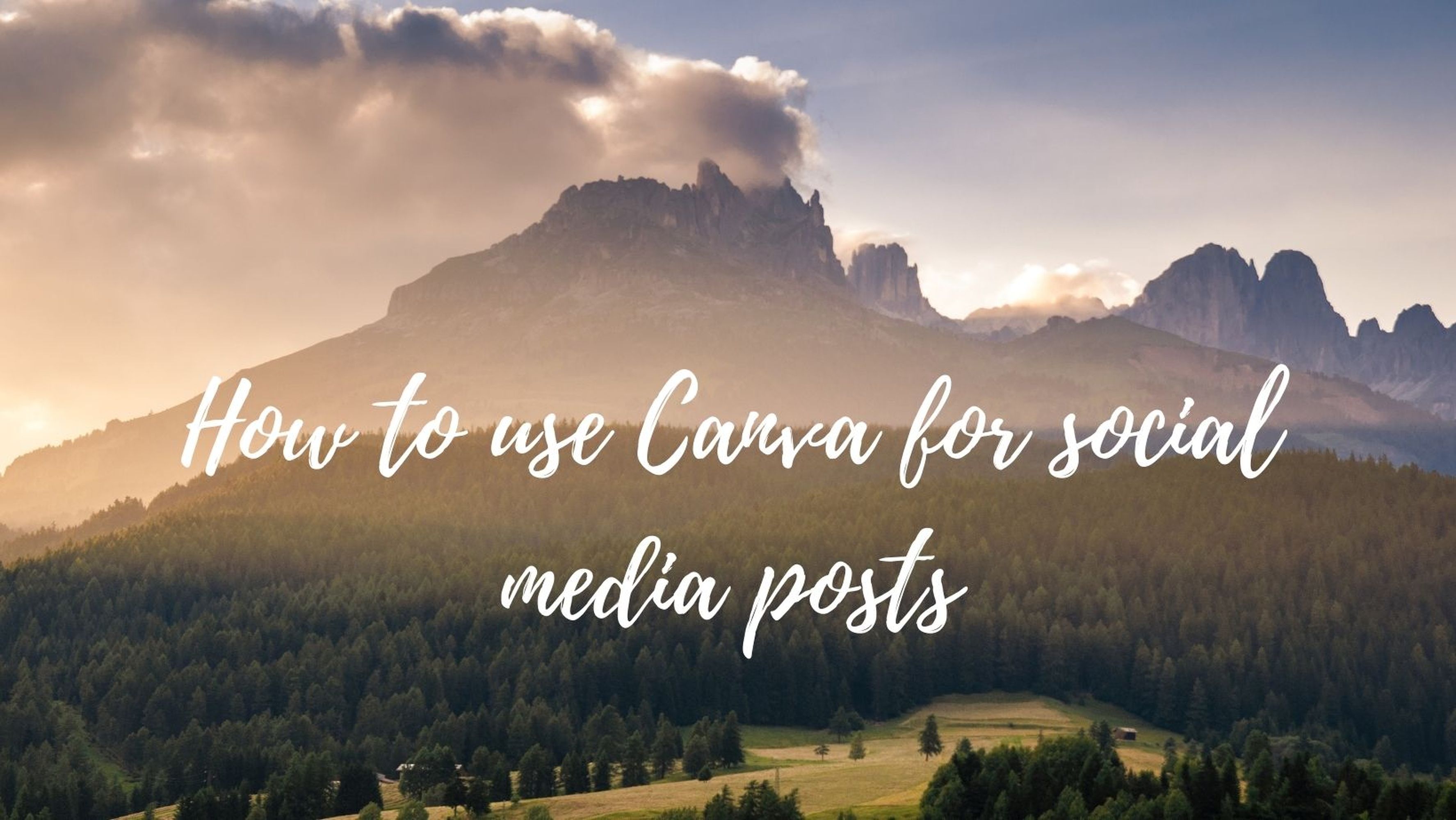 Want to up the graphic design of your Instagram? Canva wants to help.