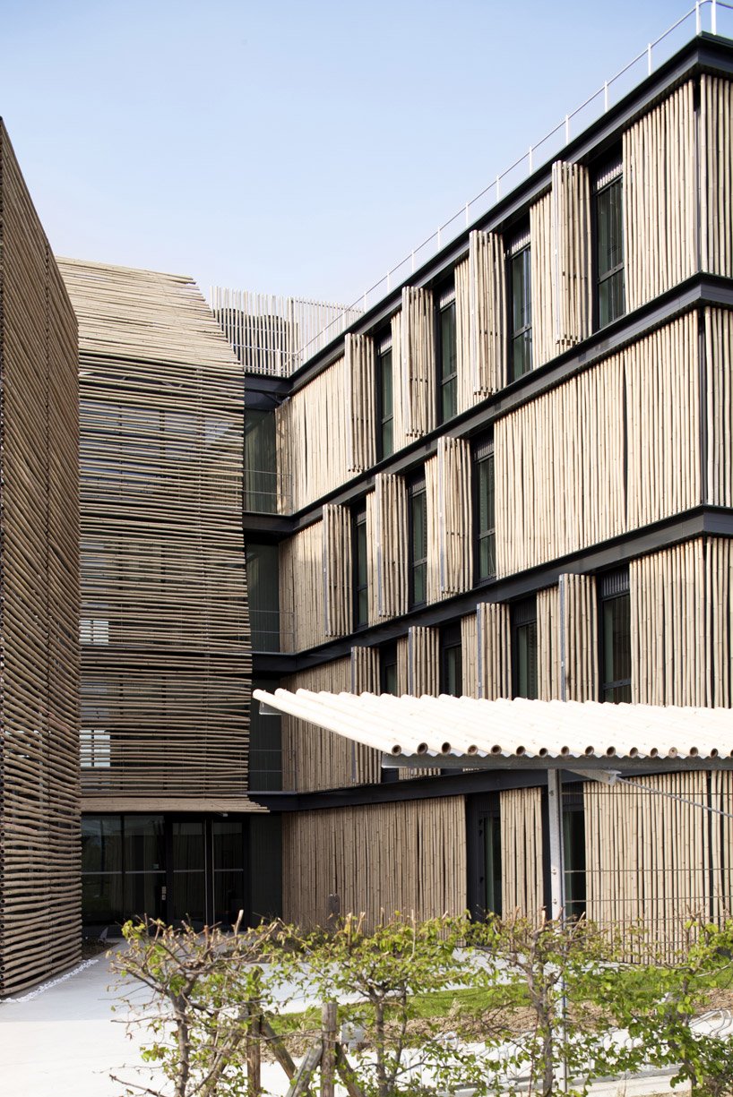 bamboo clad office building in france by monica donati
