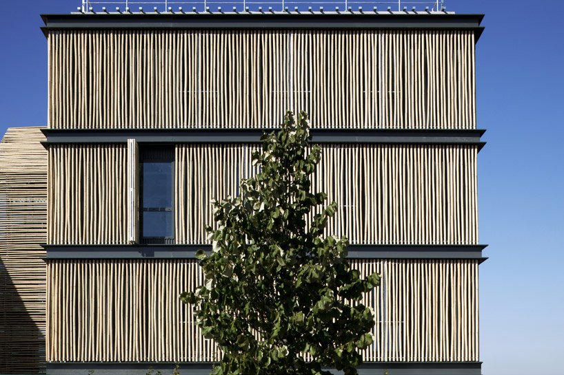 bamboo clad office building in france by monica donati
